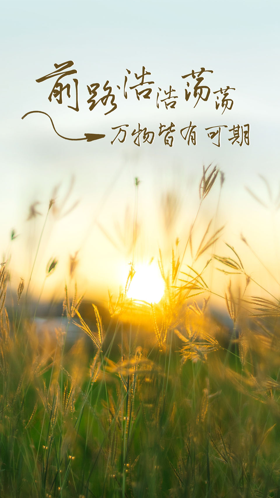 1709709739 拷贝.jpg
